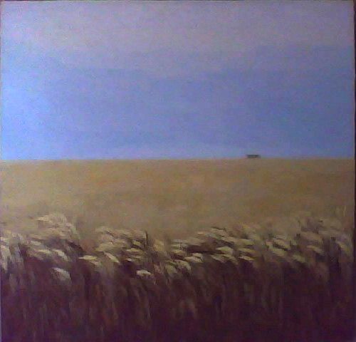 Unknown wheat field